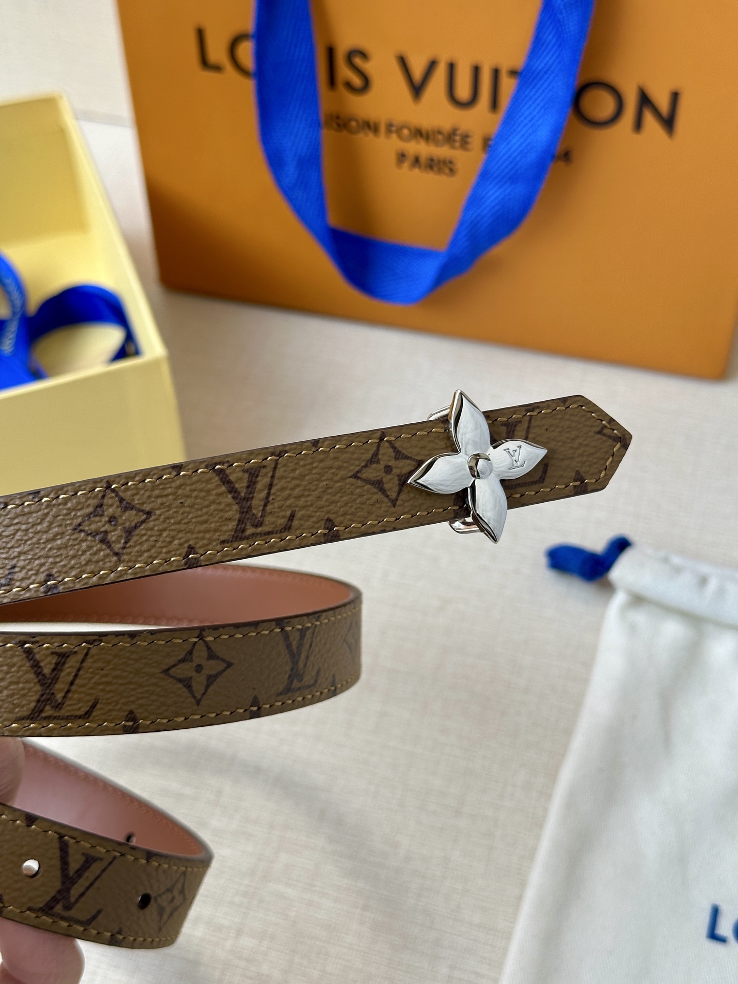 Louis Vuitton Female Basic Belt Canvas M-l