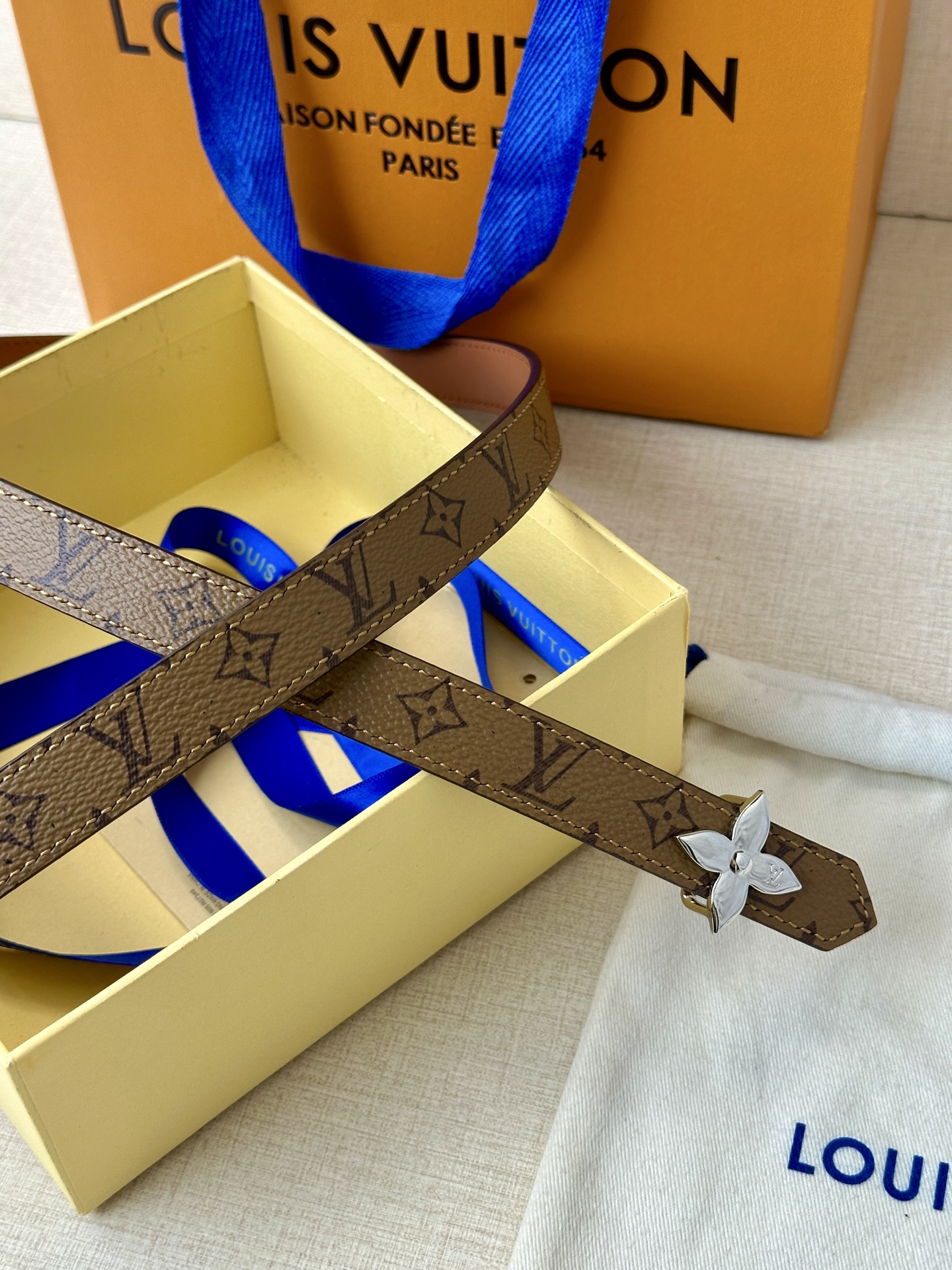 Louis Vuitton Female Basic Belt Canvas M-l