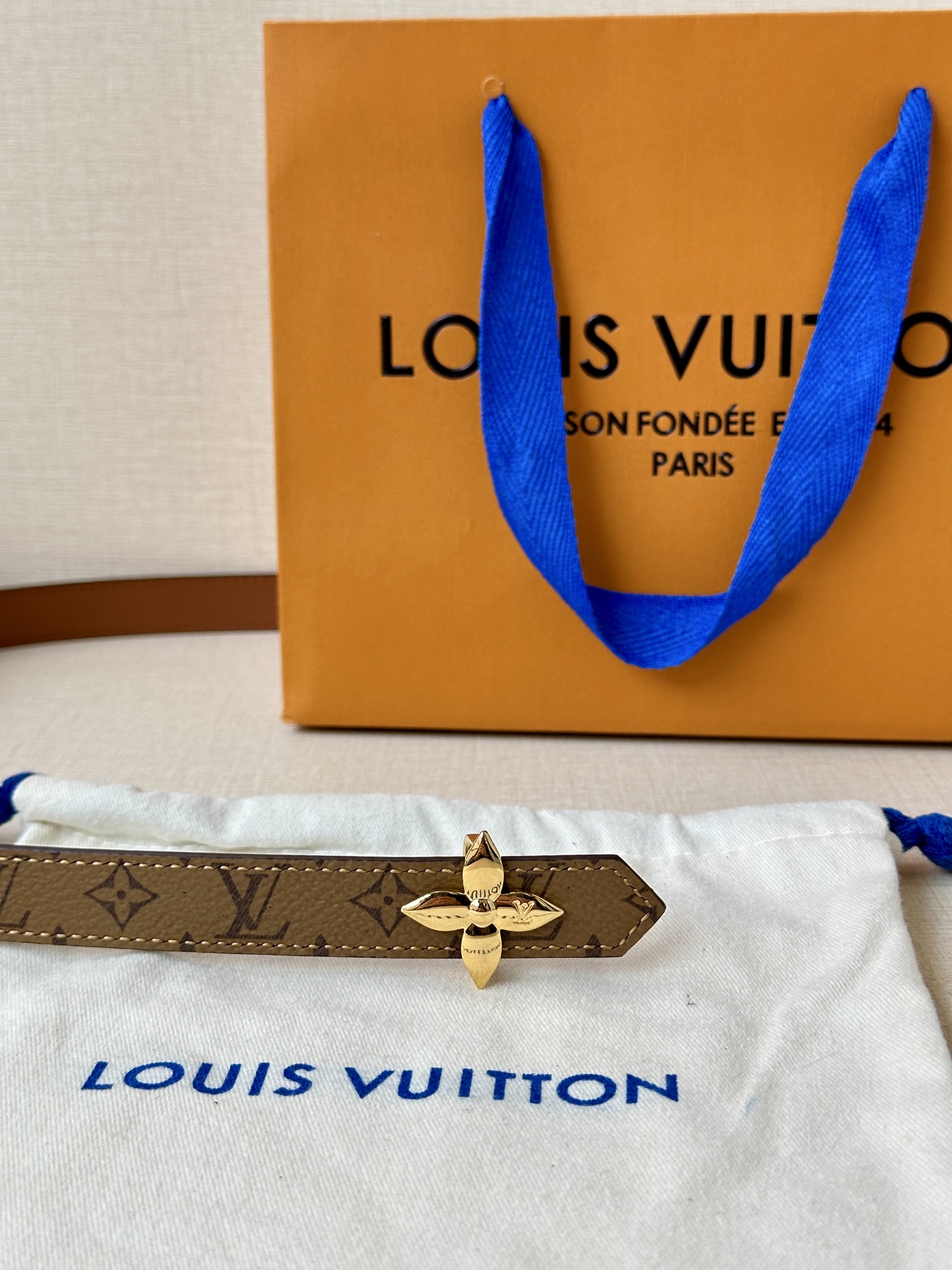 Louis Vuitton Female Basic Belt Canvas M-l