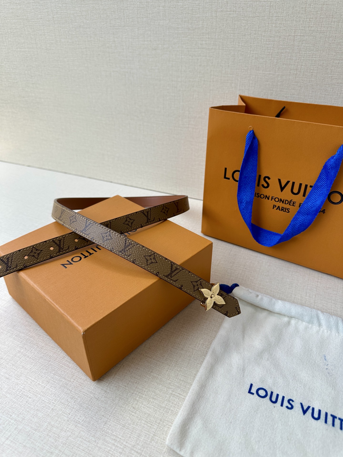 Louis Vuitton Female Basic Belt Canvas M-l