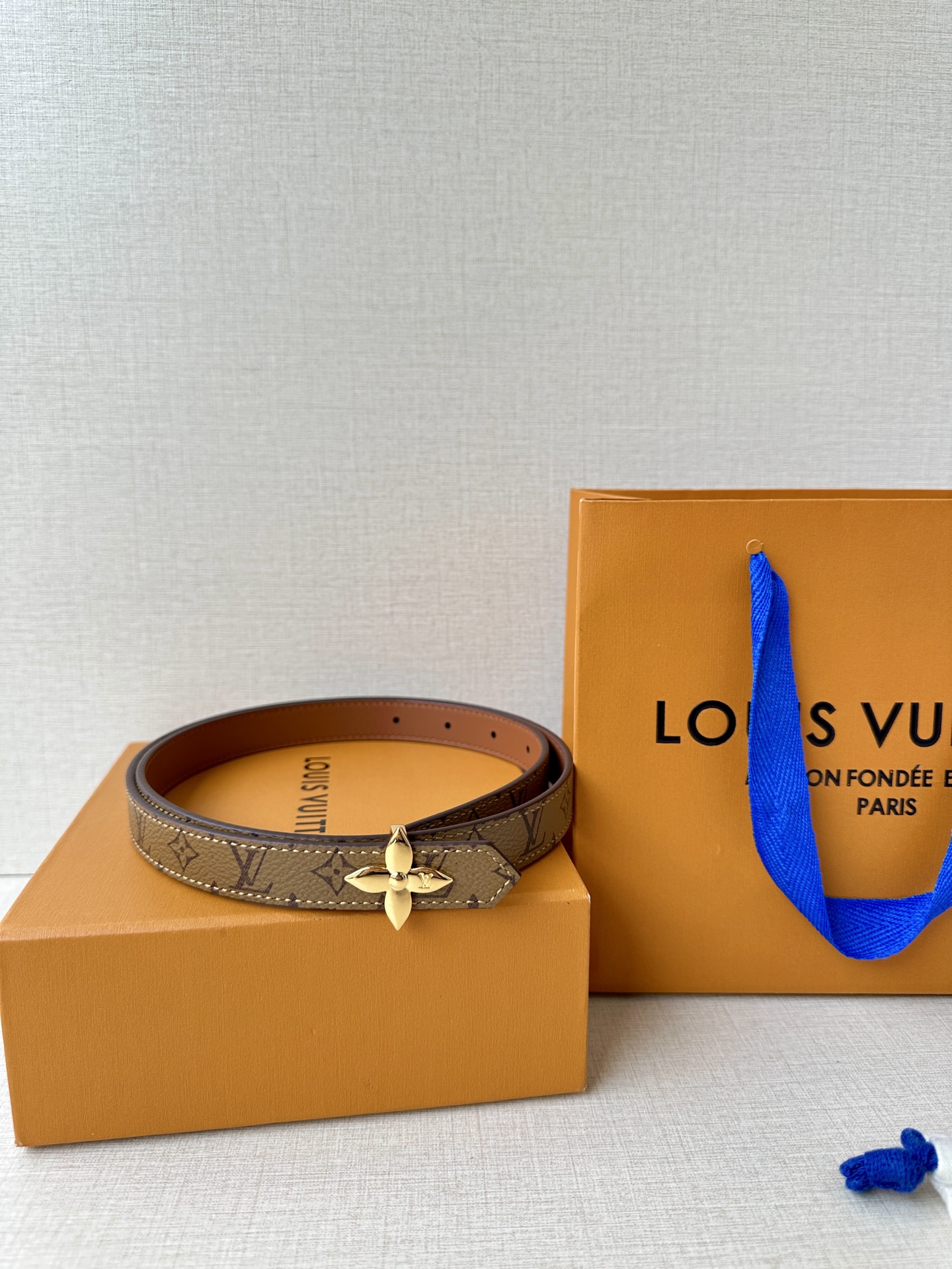 Louis Vuitton Female Basic Belt Canvas M-l