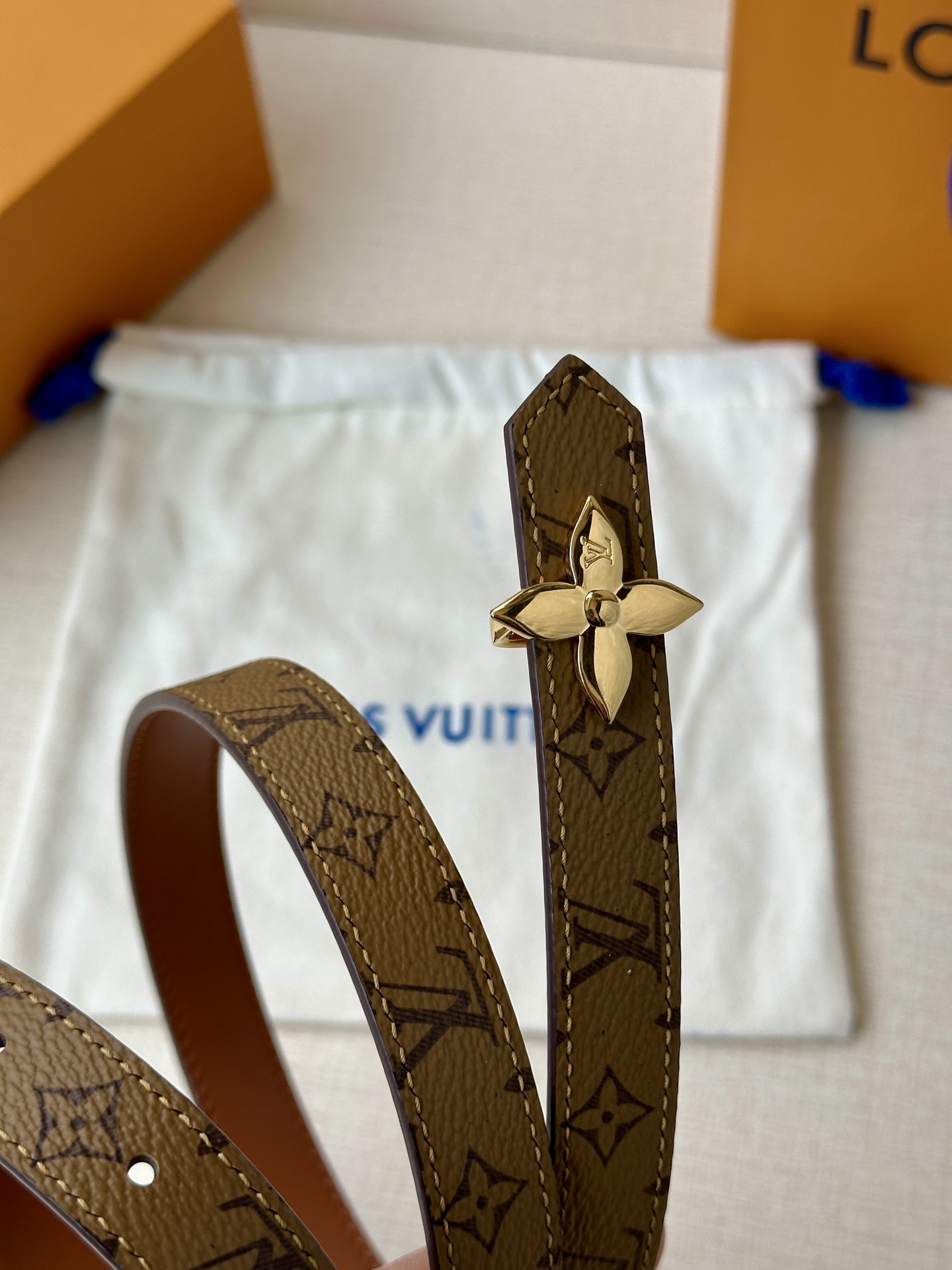 Louis Vuitton Female Basic Belt Canvas M-l