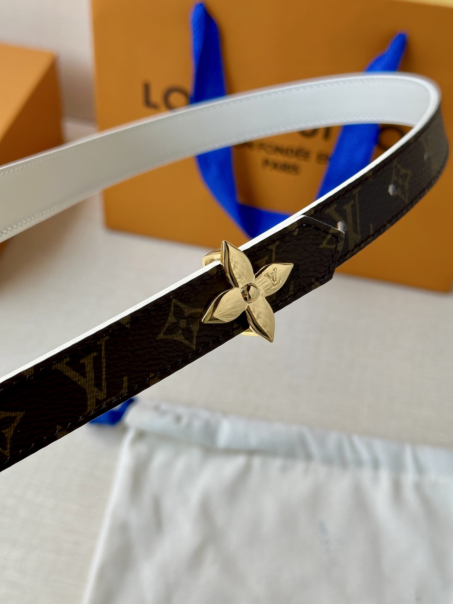 Louis Vuitton Female Basic Belt Canvas M-l