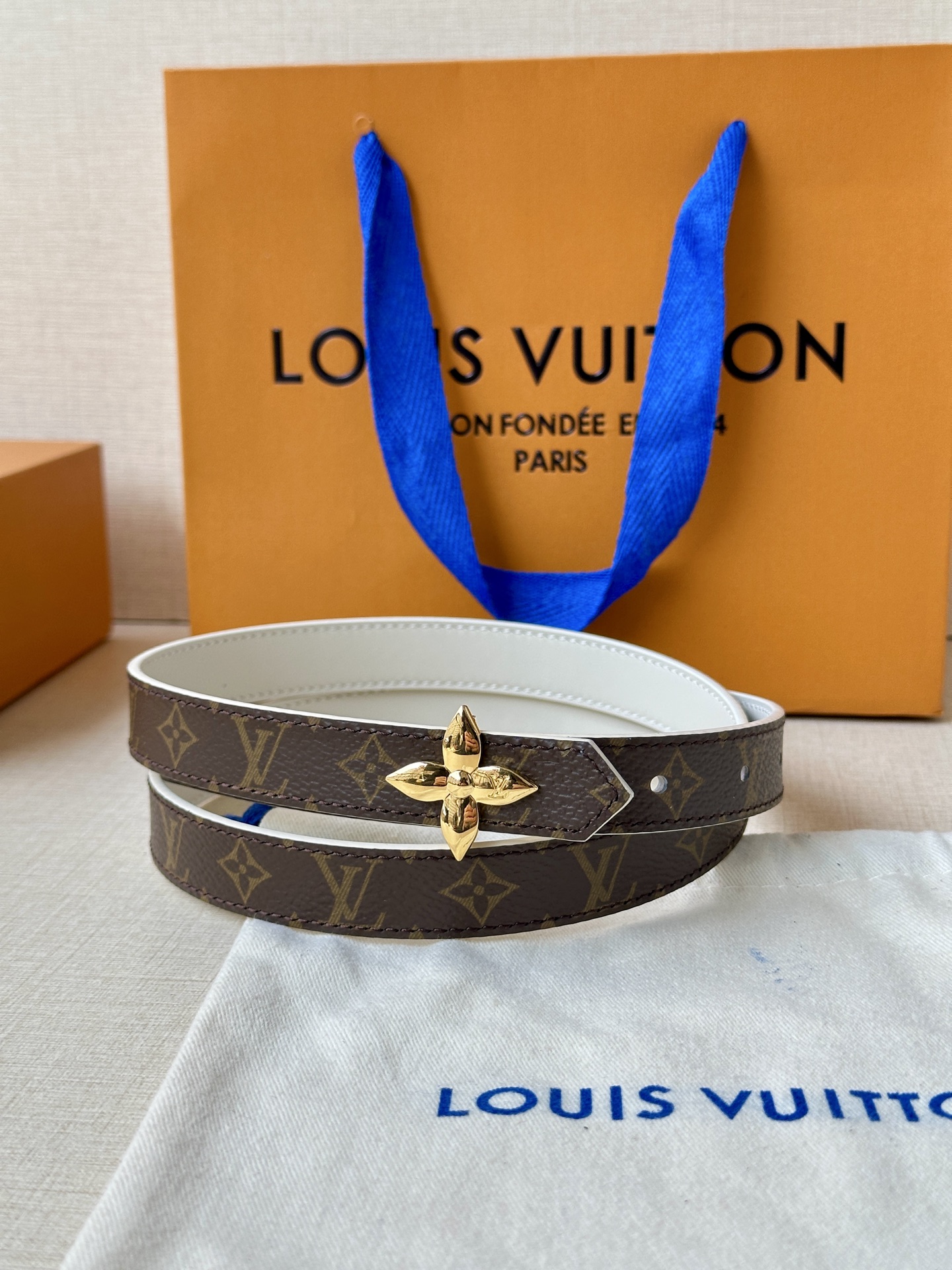 Louis Vuitton Female Basic Belt Canvas M-l