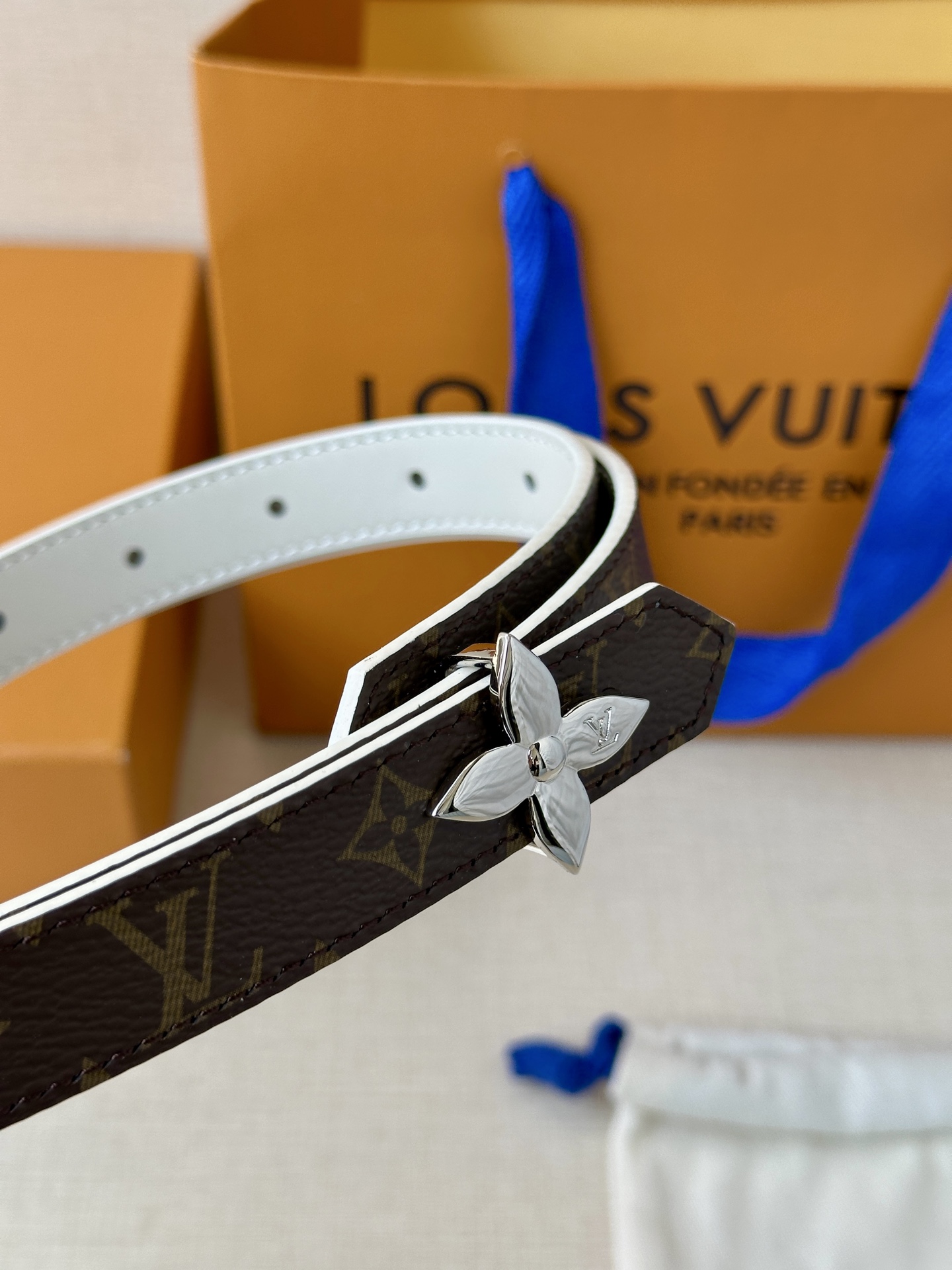 Louis Vuitton Female Basic Belt Canvas M-l