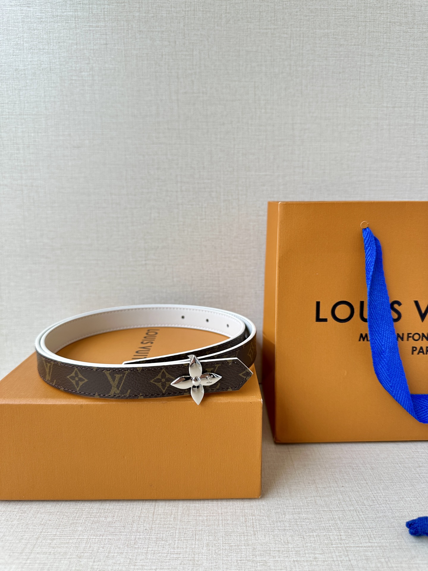 Louis Vuitton Female Basic Belt Canvas M-l