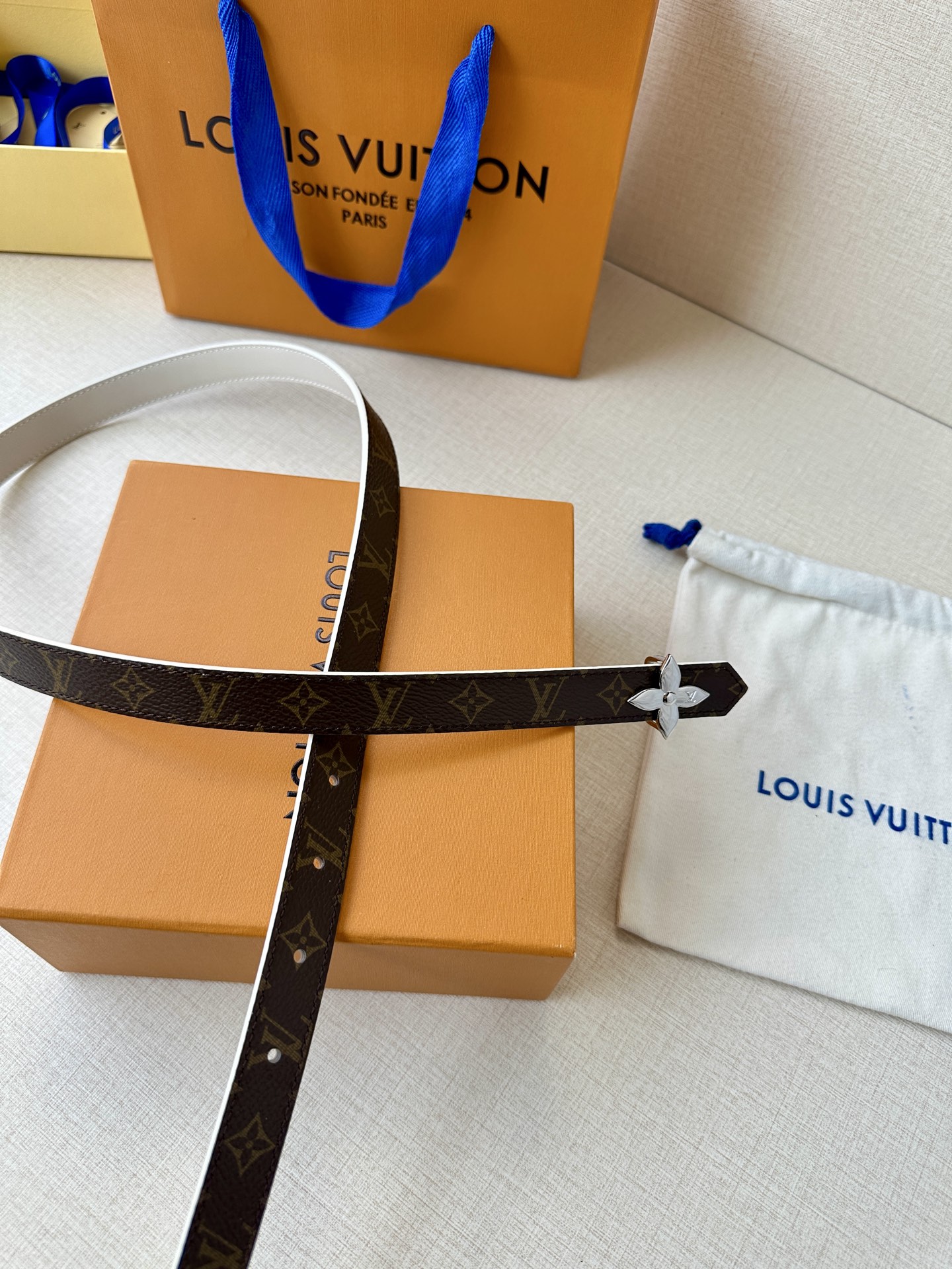 Louis Vuitton Female Basic Belt Canvas M-l