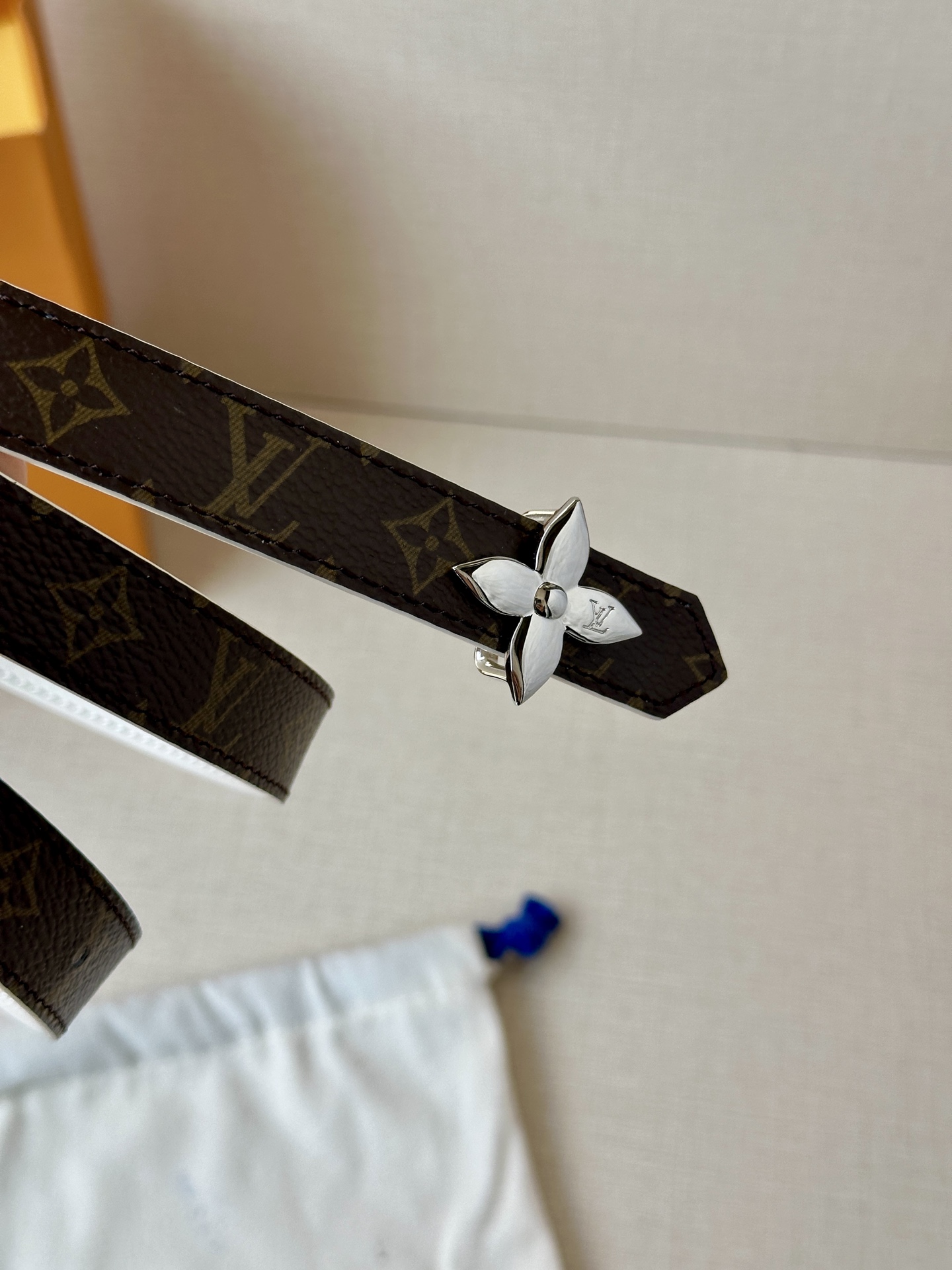 Louis Vuitton Female Basic Belt Canvas M-l