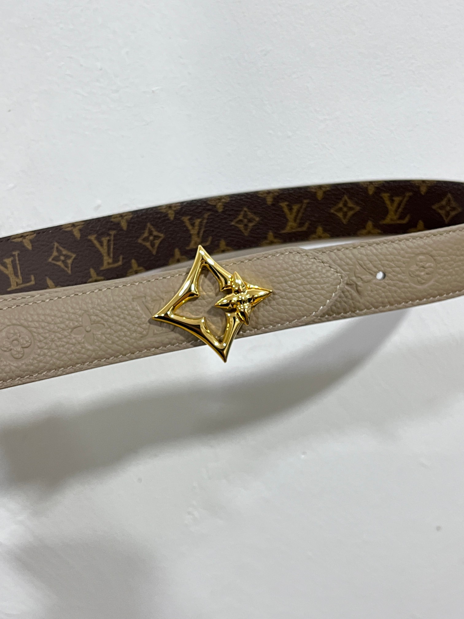 Louis Vuitton Female Basic Belt Canvas 13514-m