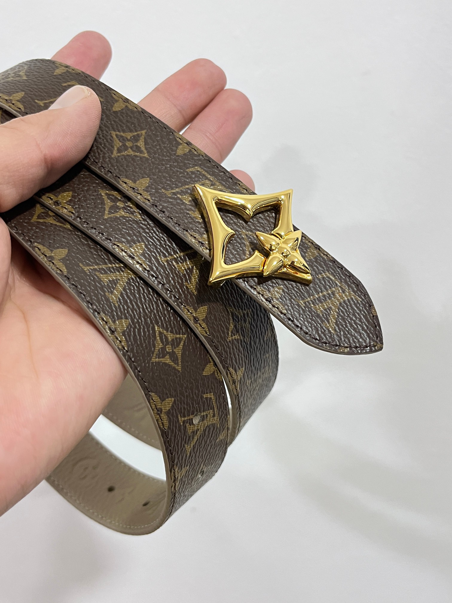 Louis Vuitton Female Basic Belt Canvas 13514-m