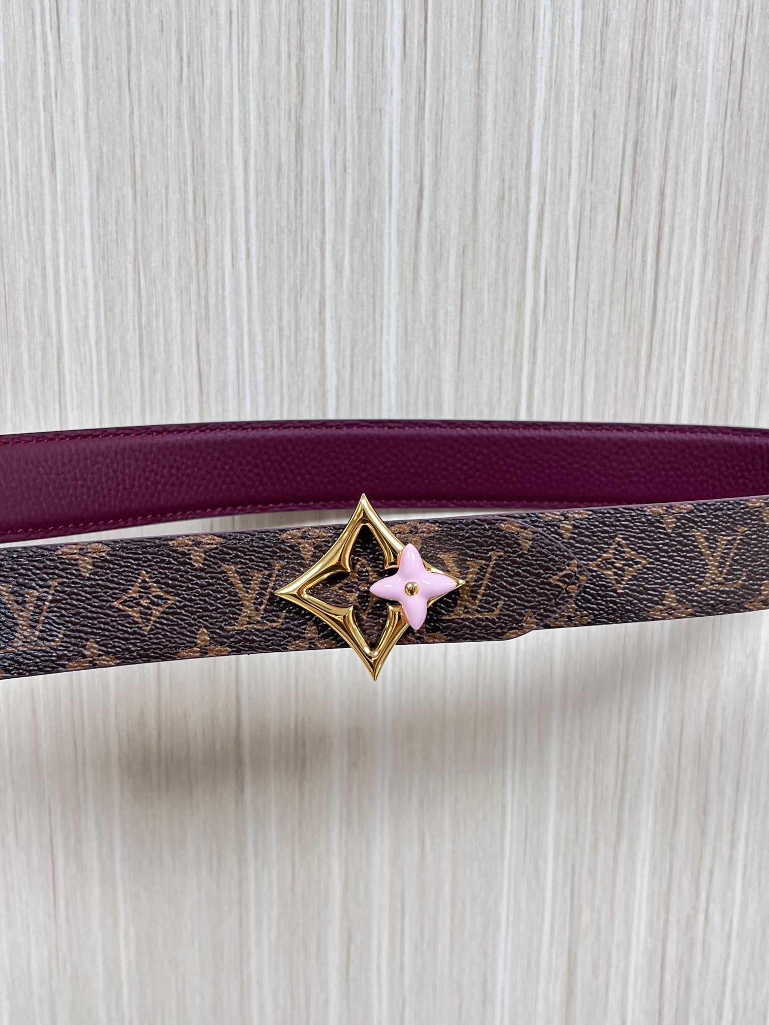 Louis Vuitton Female Basic Belt Canvas M-l
