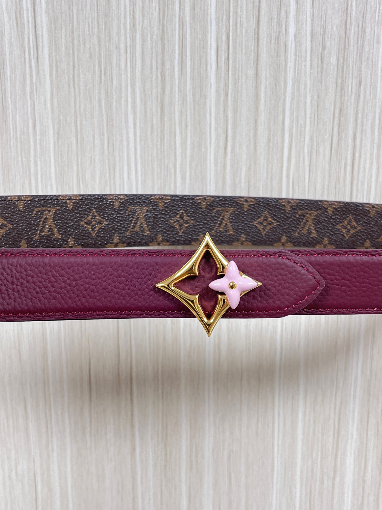 Louis Vuitton Female Basic Belt Canvas M-l