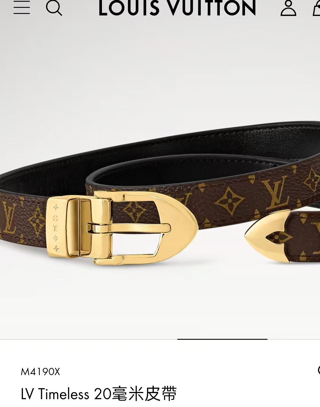 Louis Vuitton Male Pin Buckle Belt S-m-l