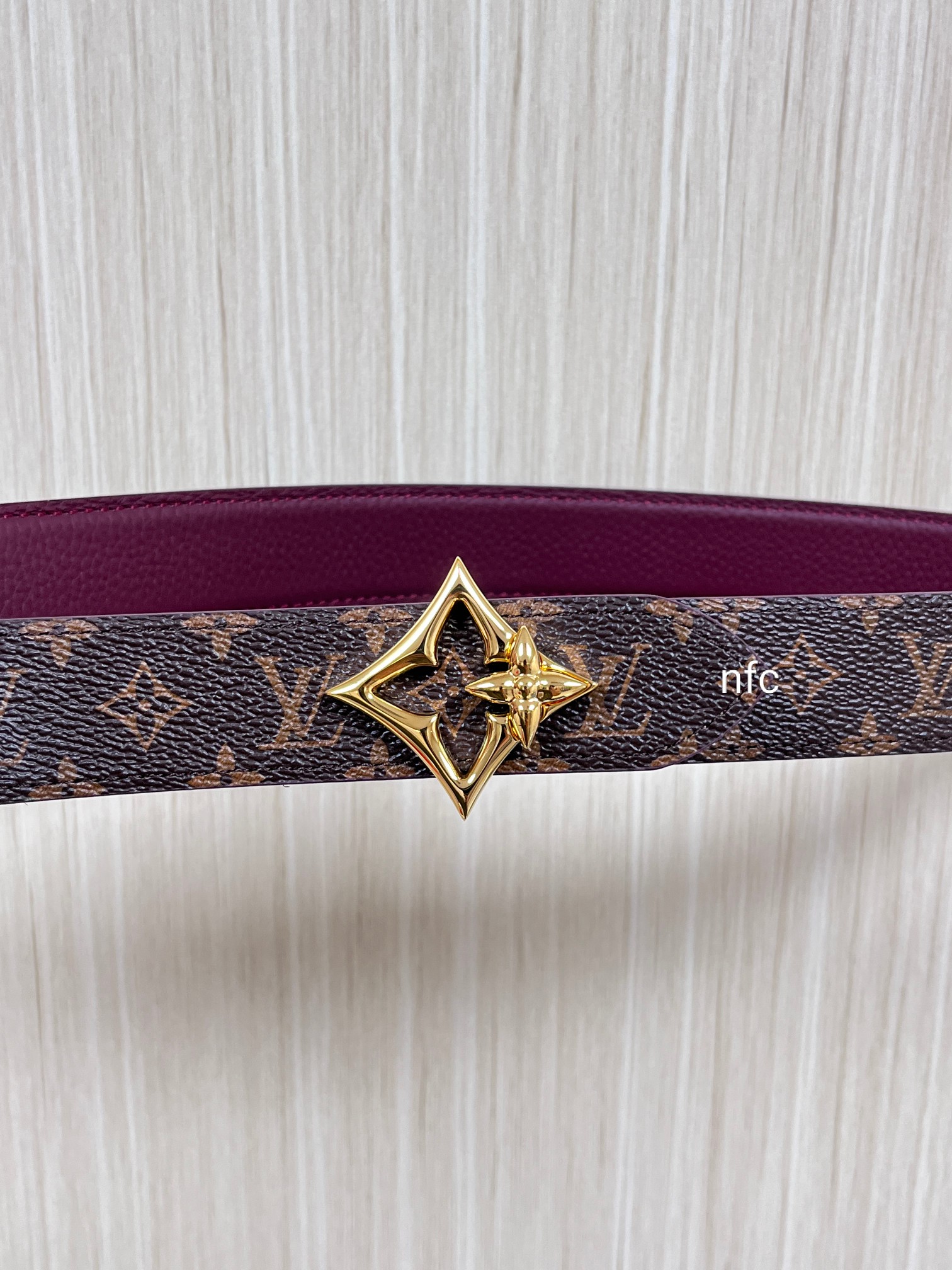 Louis Vuitton Female Basic Belt Canvas M-l