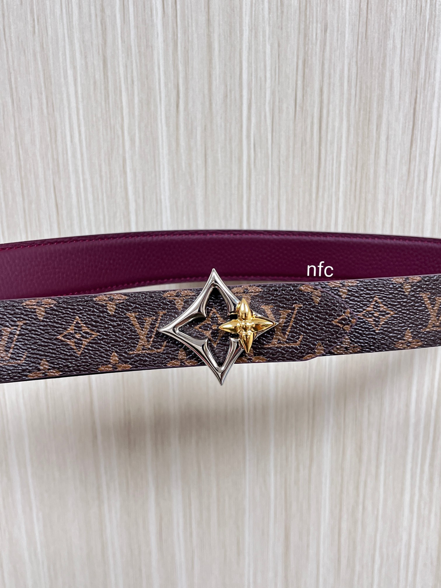 Louis Vuitton Female Basic Belt Canvas M-l