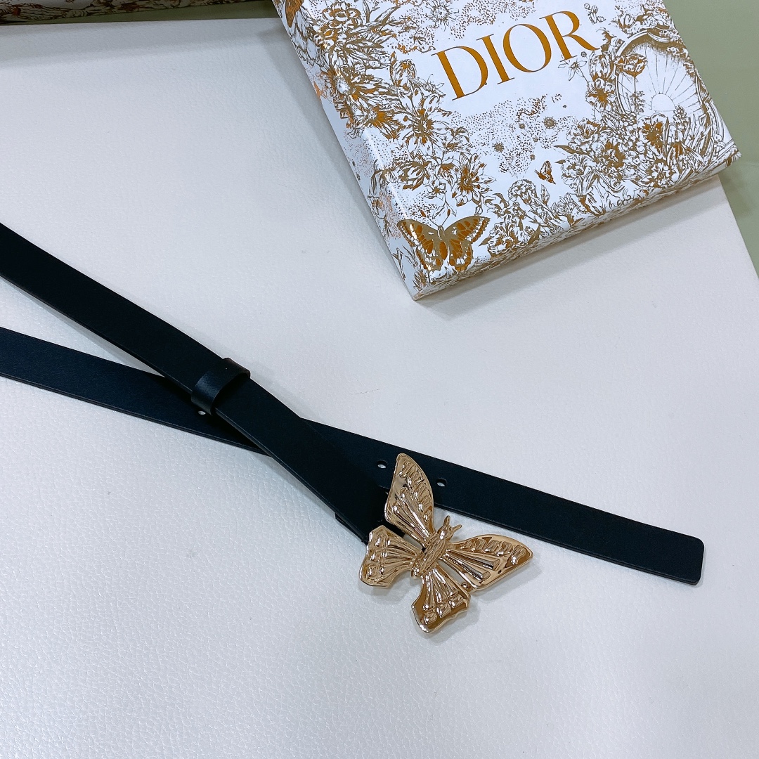 Dior Female Basic Belt Cow Leather S-m