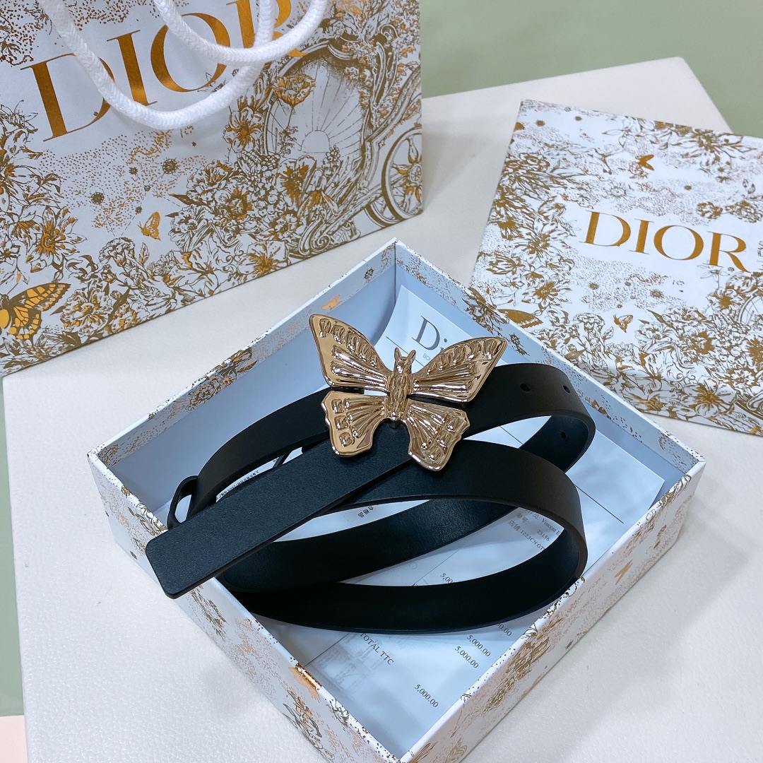 Dior Female Basic Belt Cow Leather S-m