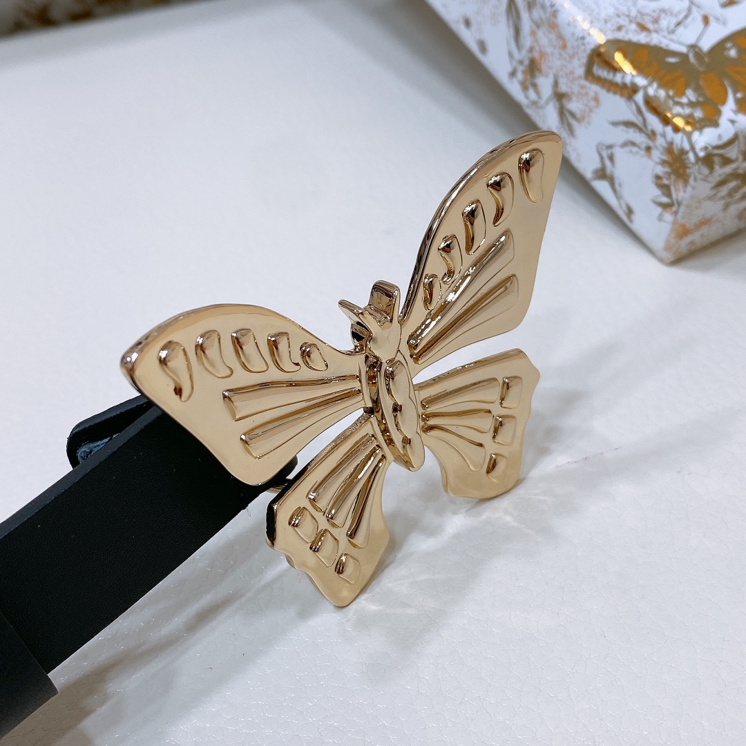 Dior Female Basic Belt Cow Leather S-m