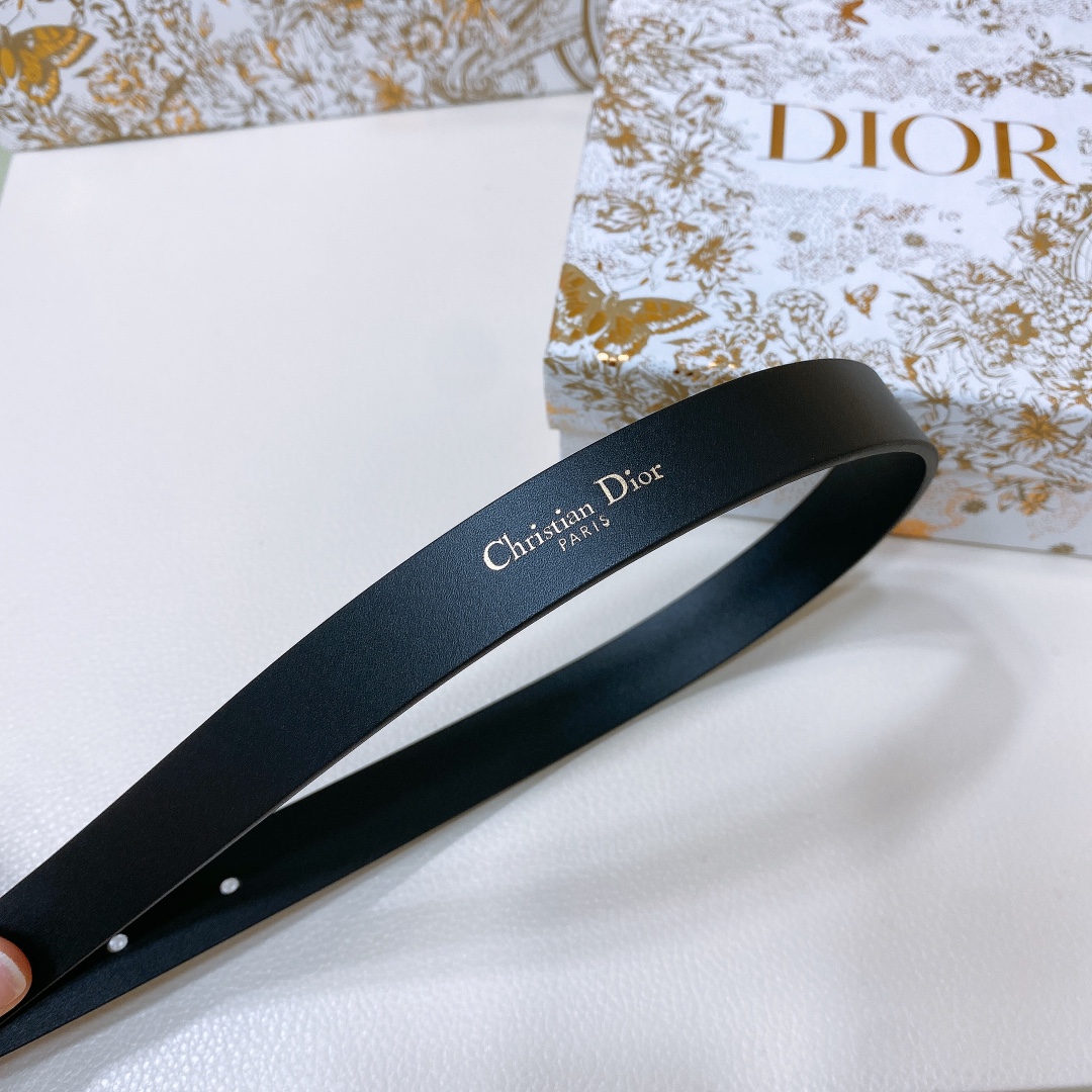 Dior Female Basic Belt Cow Leather S-m