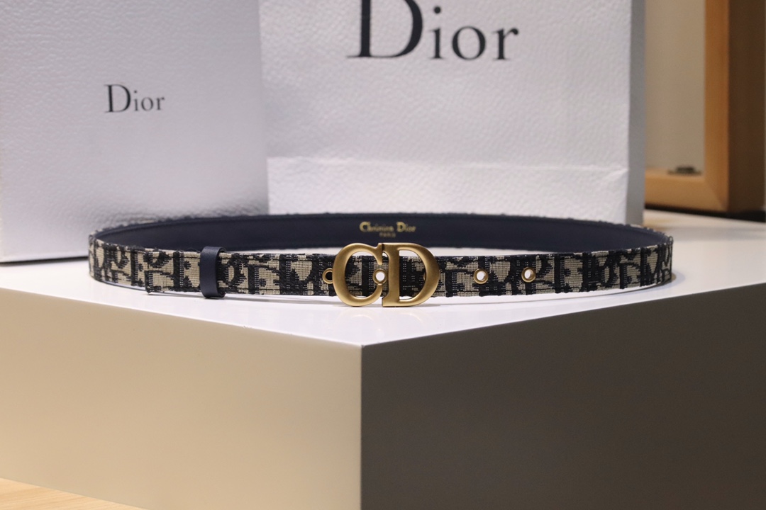 Dior Female Basic Belt Cow Leather M-l