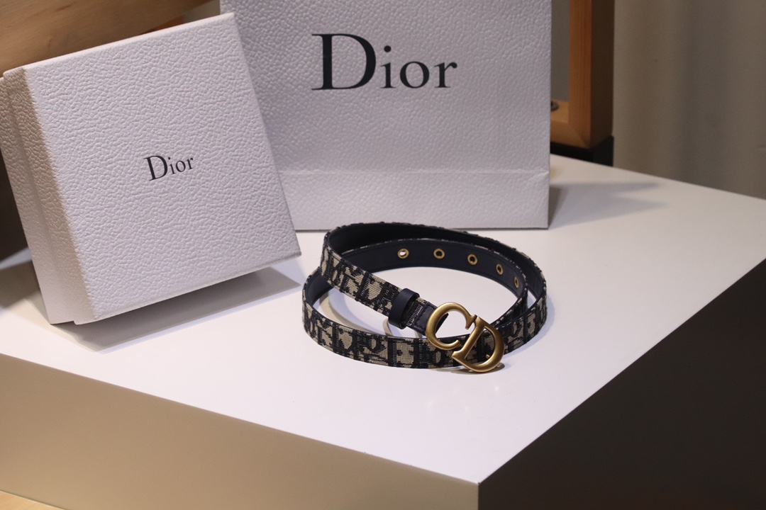 Dior Female Basic Belt Cow Leather M-l