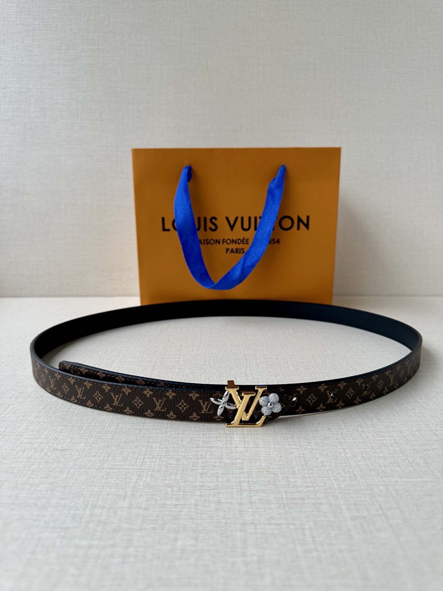 Louis Vuitton Female Basic Belt Canvas M-l