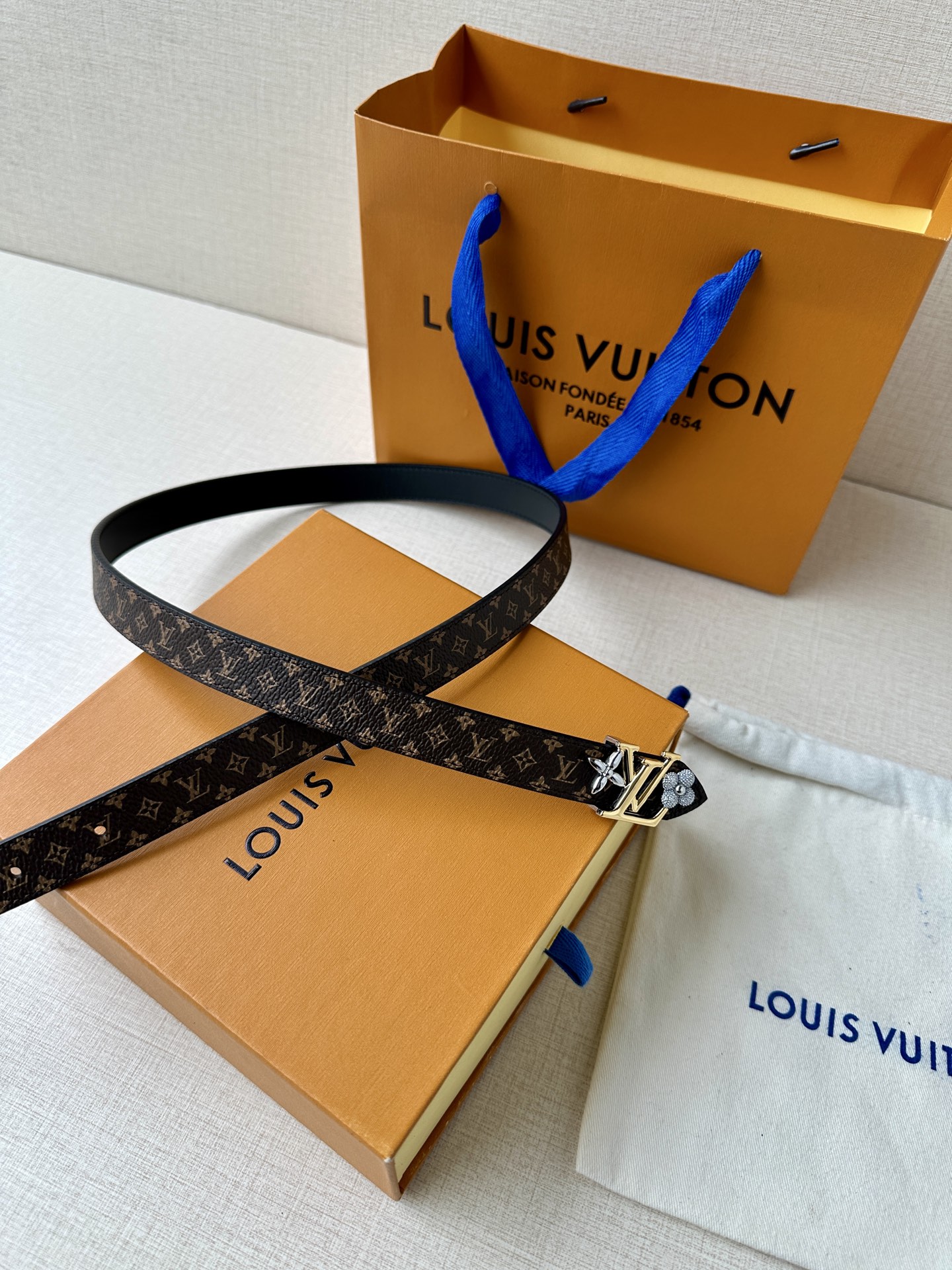 Louis Vuitton Female Basic Belt Canvas M-l