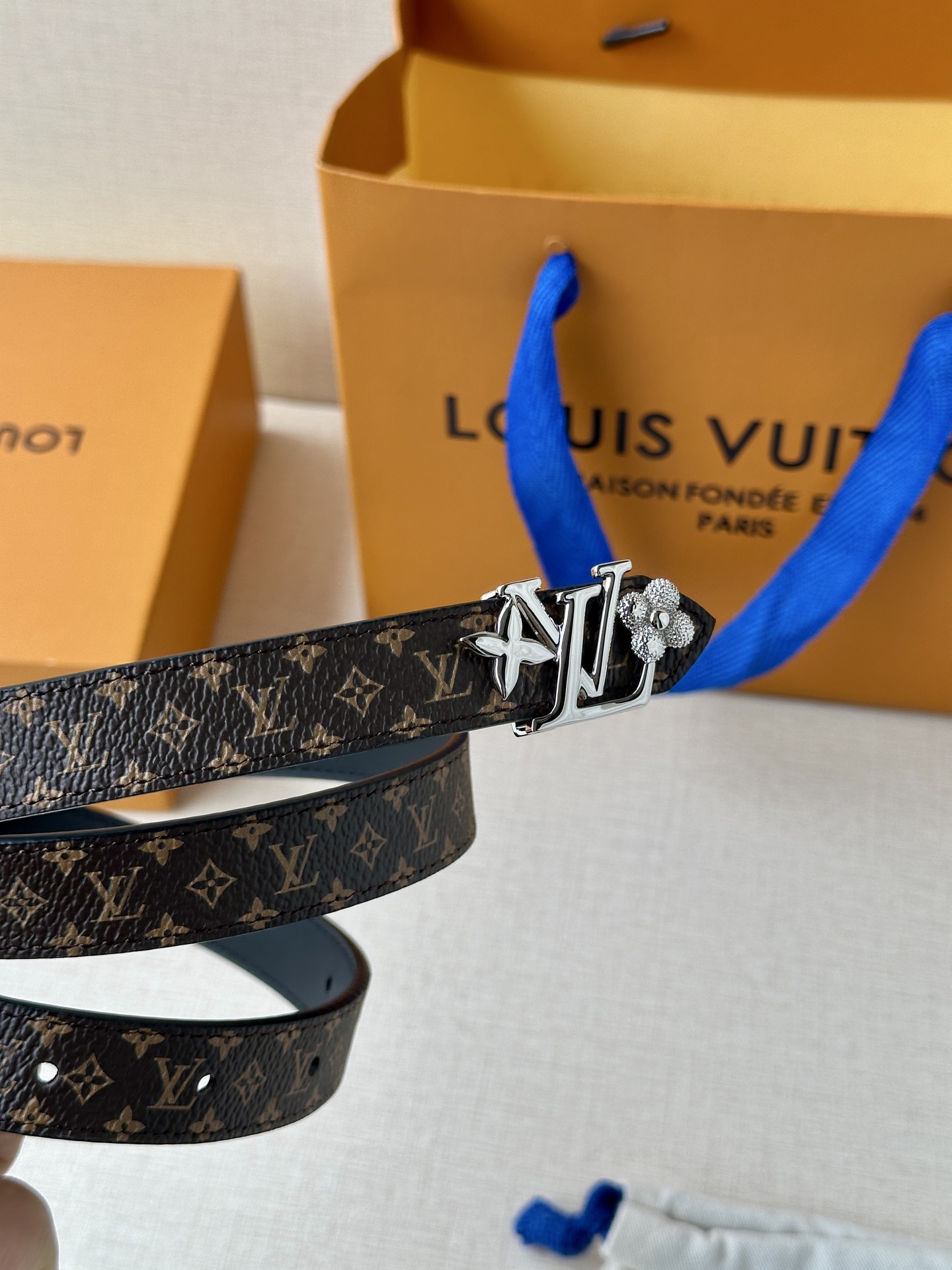 Louis Vuitton Female Basic Belt Canvas M-l