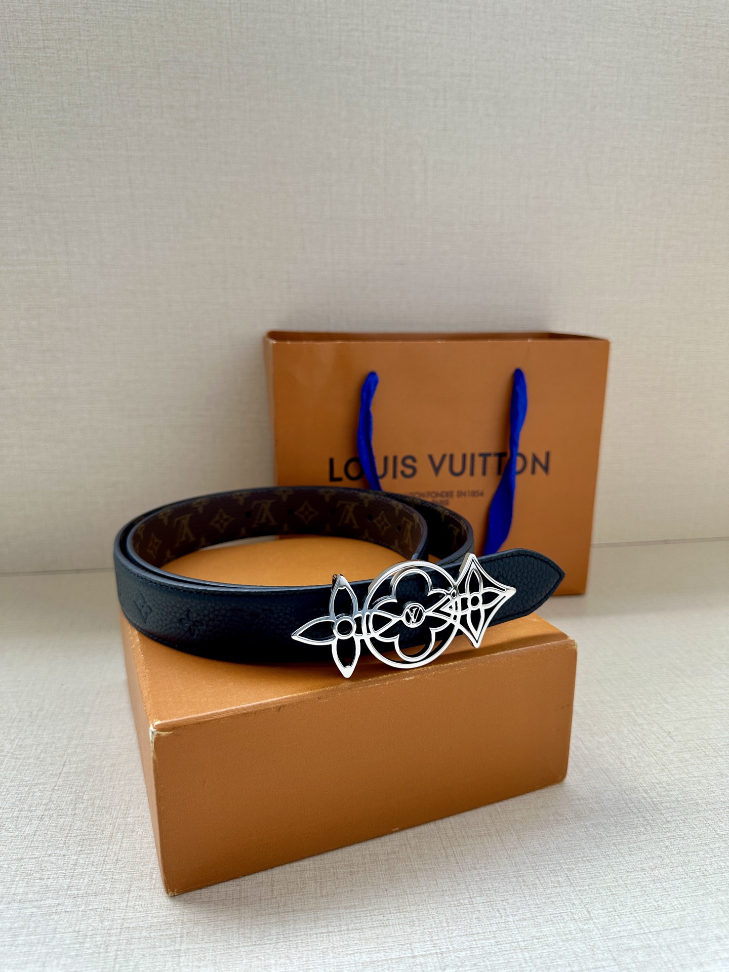 Louis Vuitton Female Basic Belt Canvas M-l