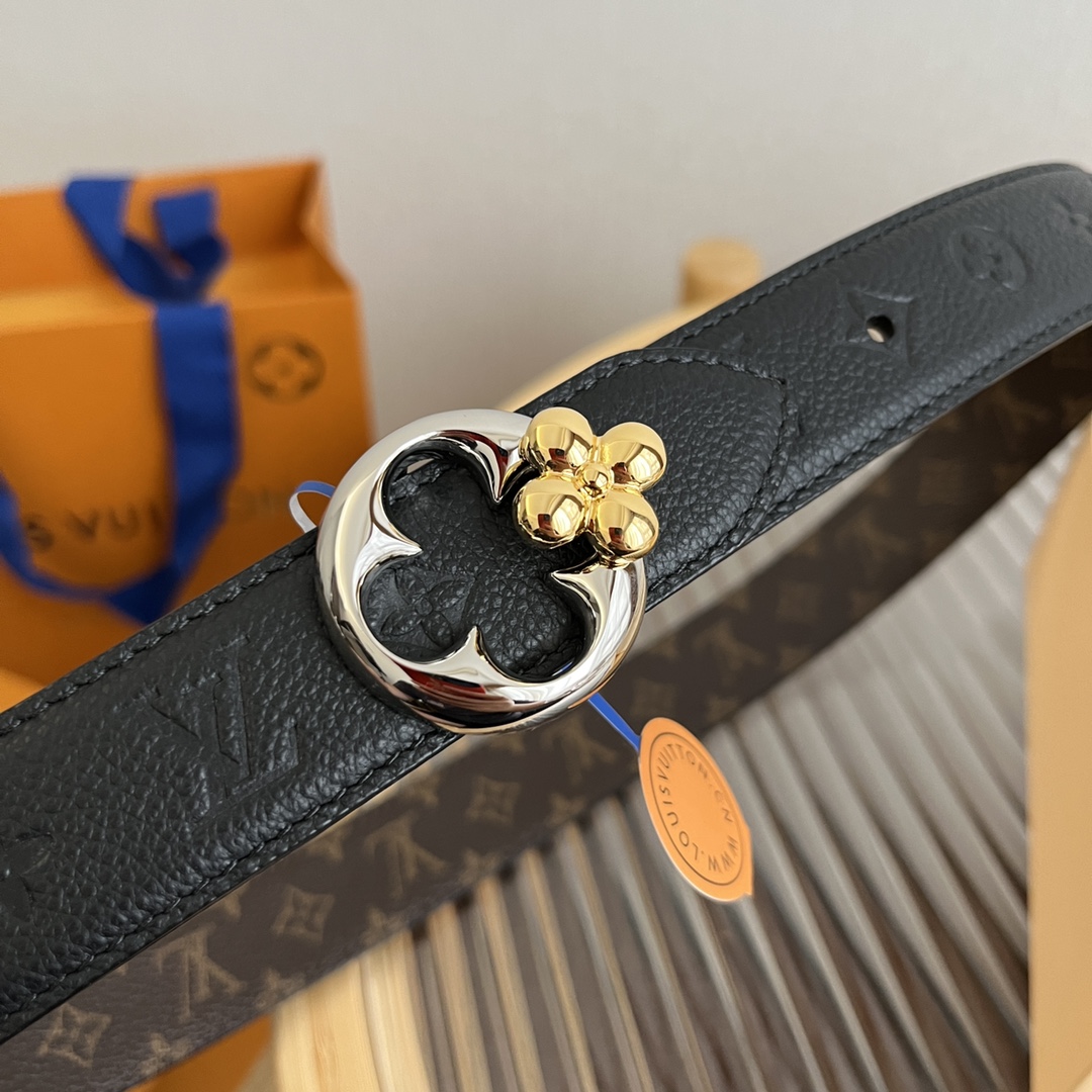 Louis Vuitton Female Basic Belt Canvas M-l