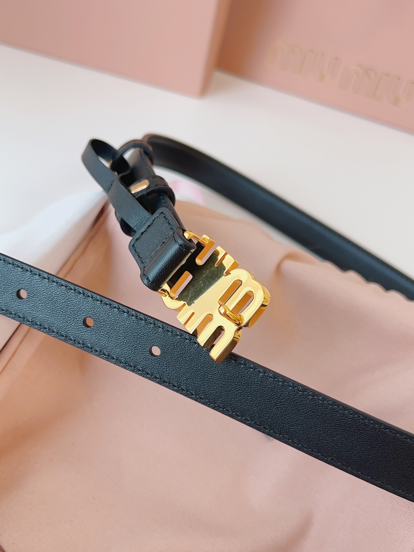 Miu Miu Female Basic Belt S-m
