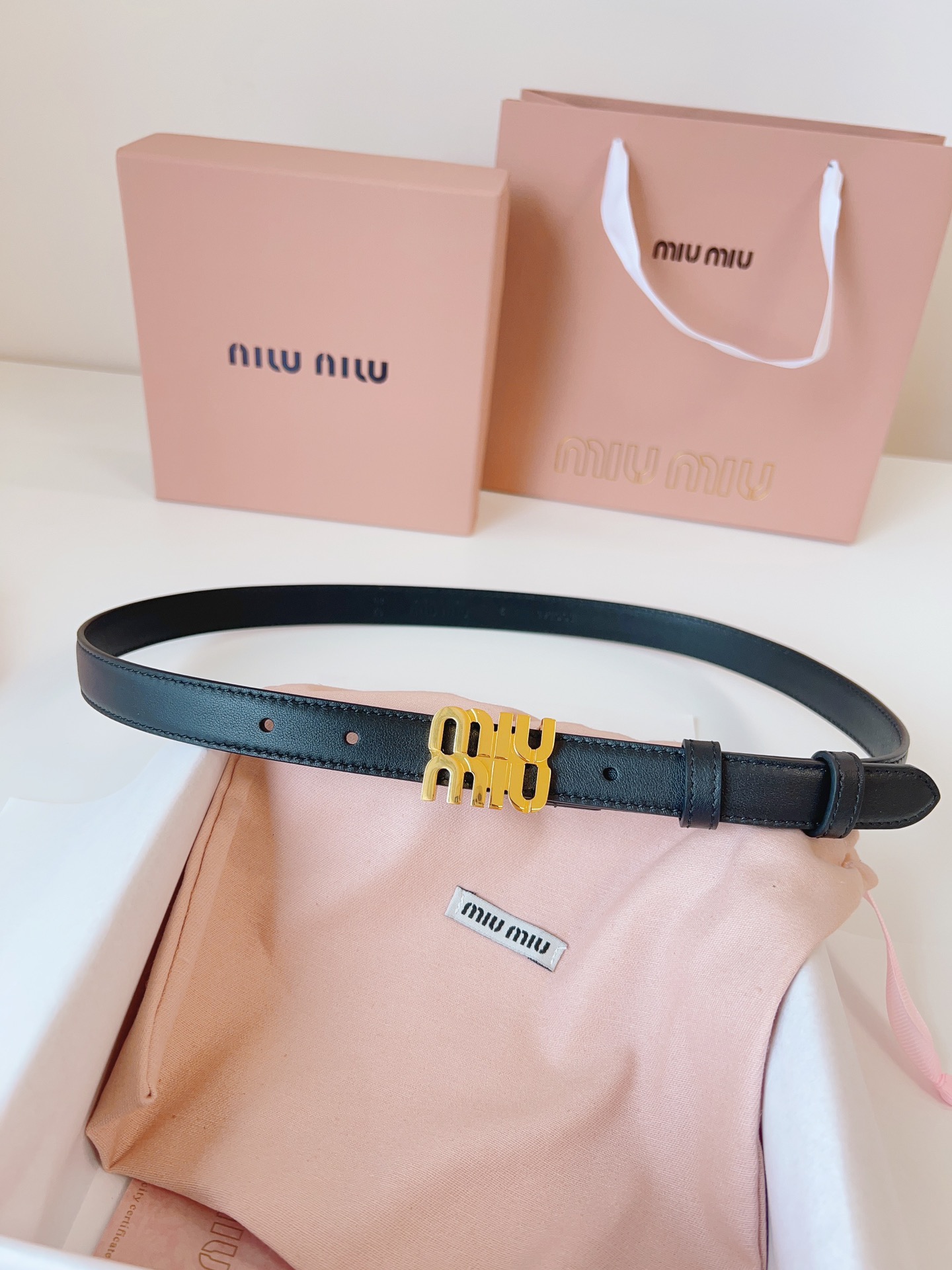 Miu Miu Female Basic Belt S-m