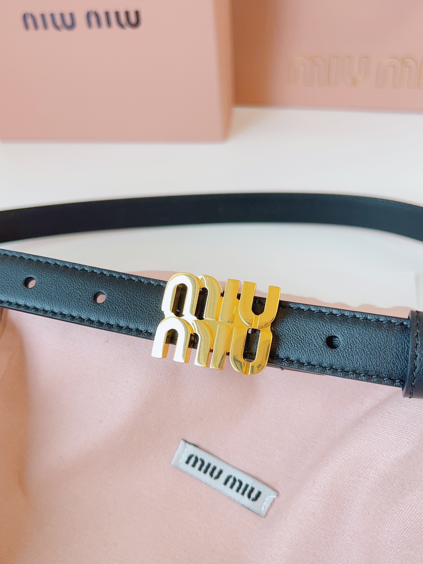 Miu Miu Female Basic Belt S-m