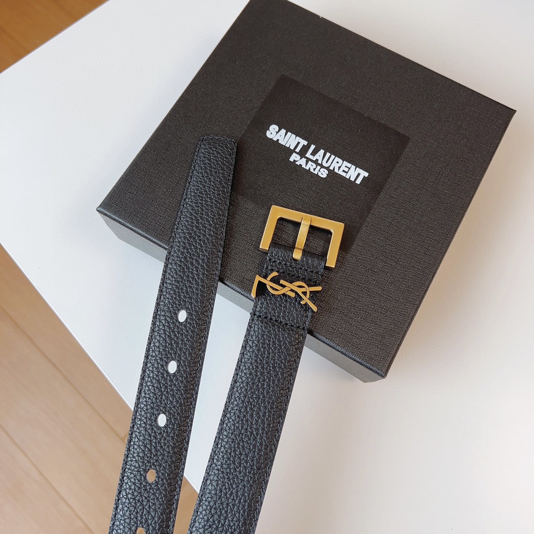 Saint Laurent Female Basic Belt Cow Leather Black S-m