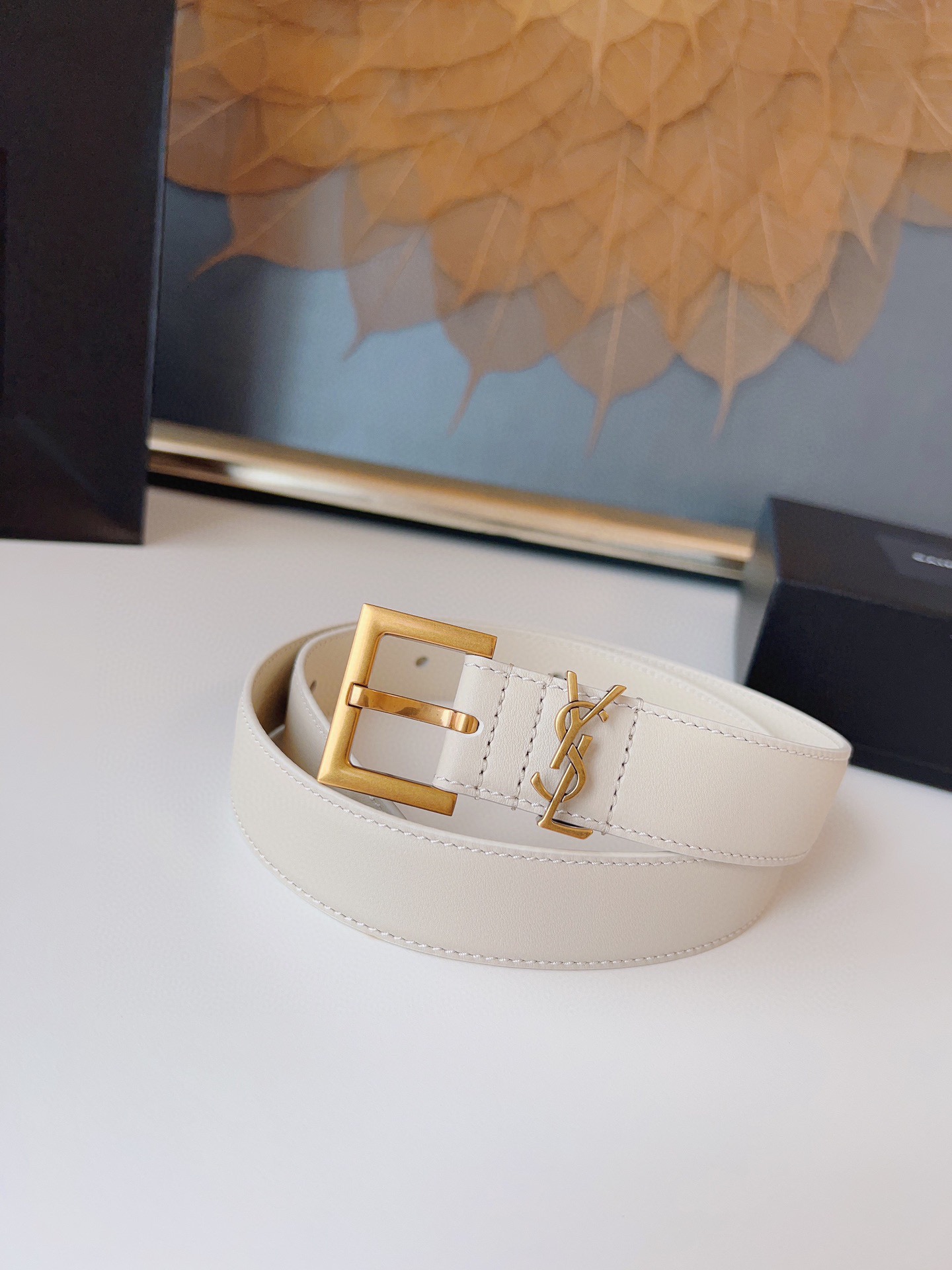 Saint Laurent Female Basic Belt Cow Leather S-m