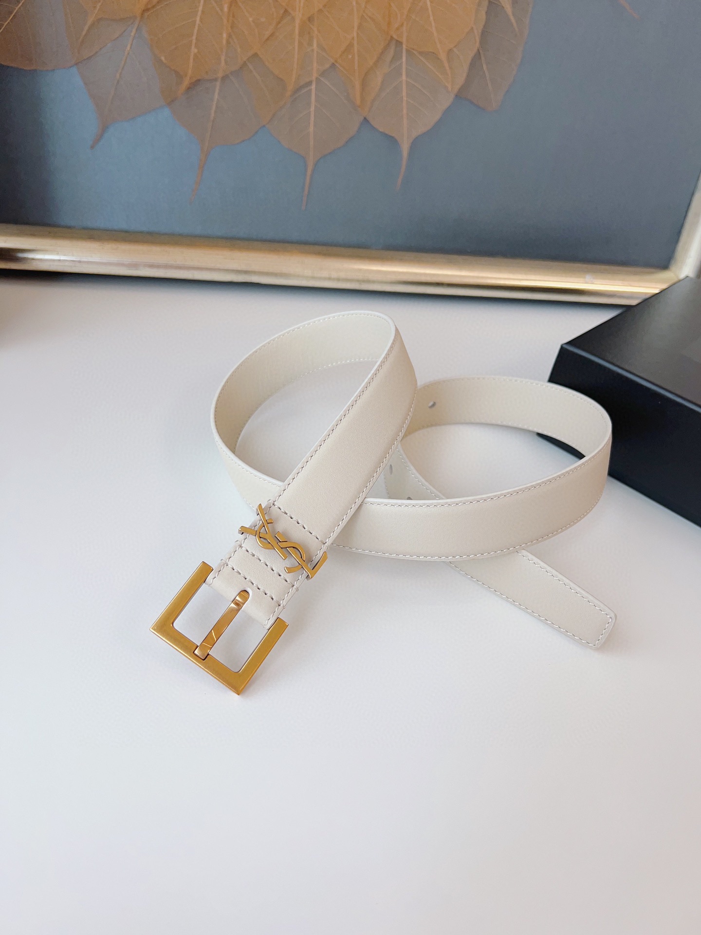 Saint Laurent Female Basic Belt Cow Leather S-m