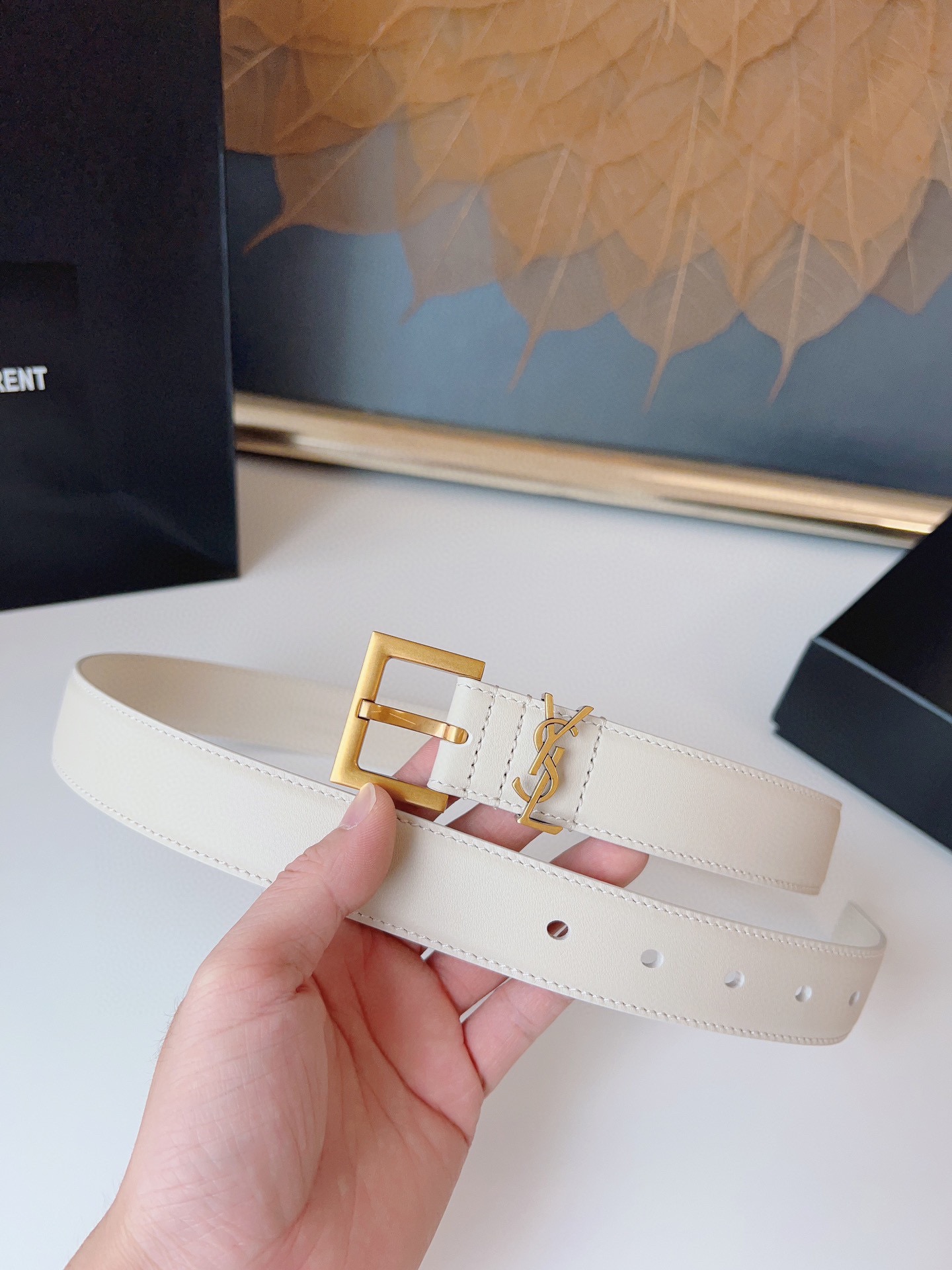 Saint Laurent Female Basic Belt Cow Leather S-m