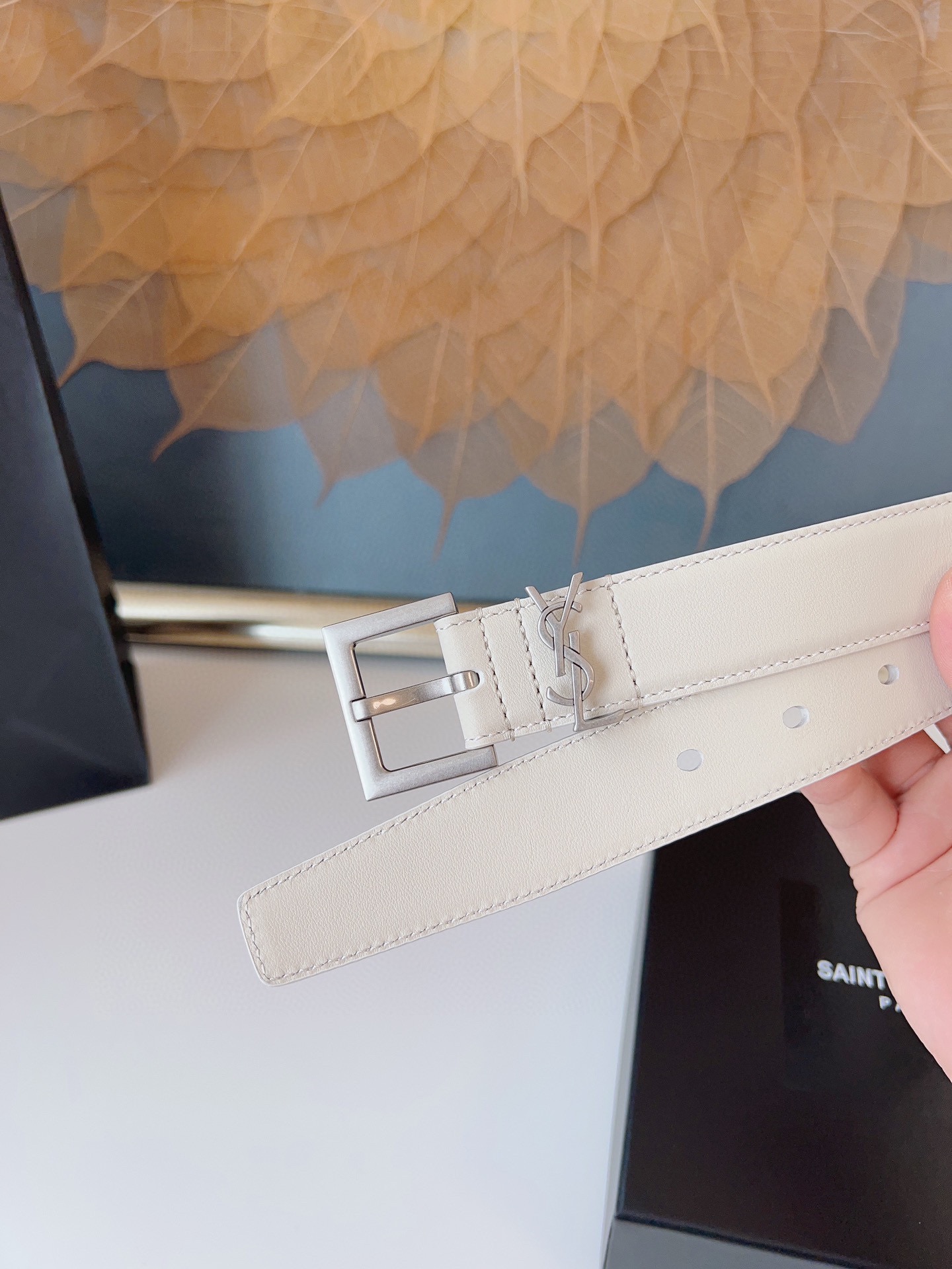 Saint Laurent Female Basic Belt Cow Leather S-m