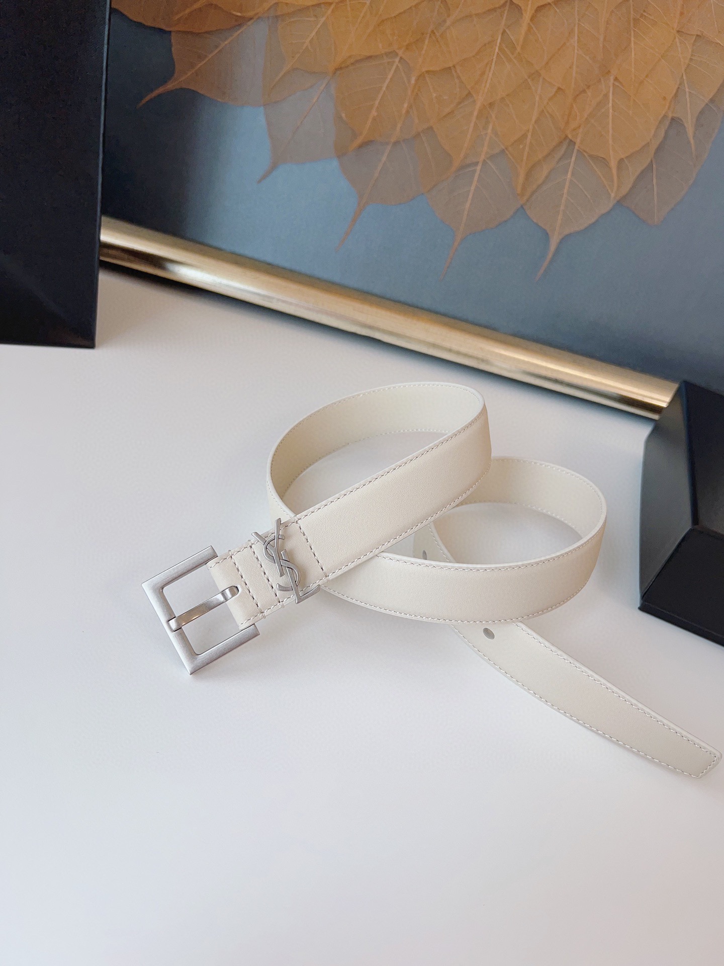 Saint Laurent Female Basic Belt Cow Leather S-m