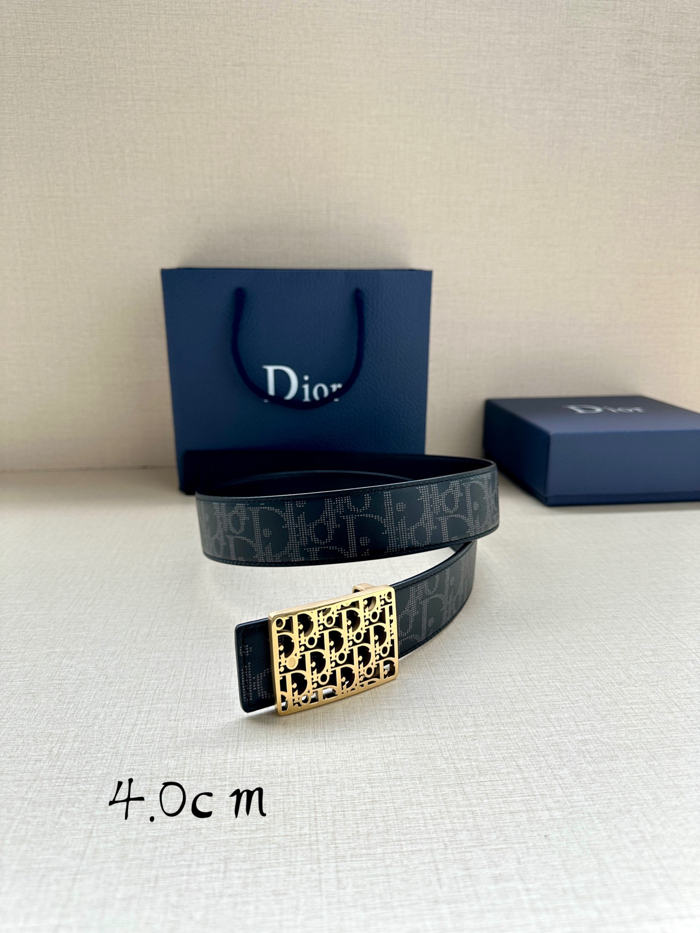 Dior Basic Belt Cow Leather Black L