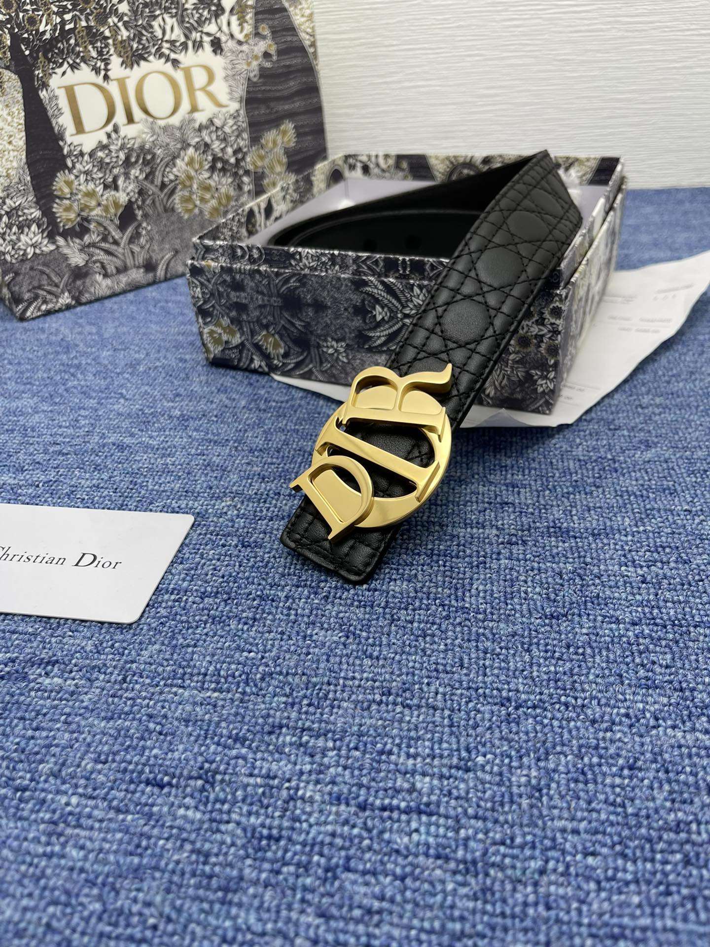 Dior Basic Belt Silver