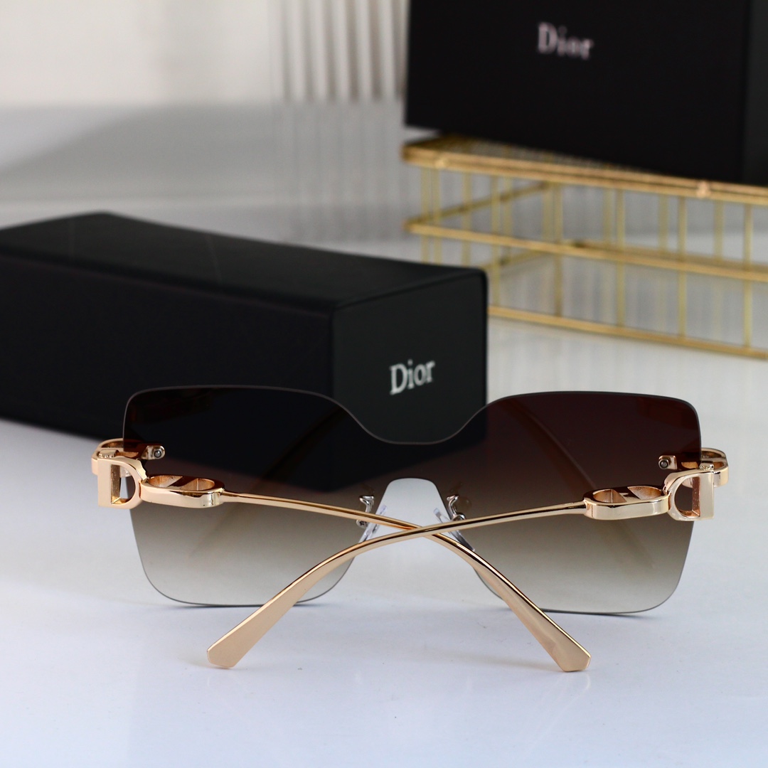 Dior Basic Glasses