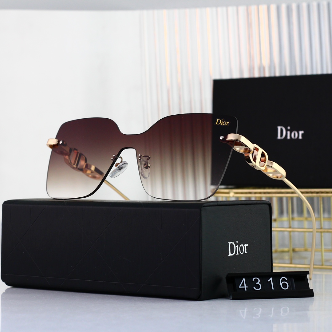 Dior Basic Glasses