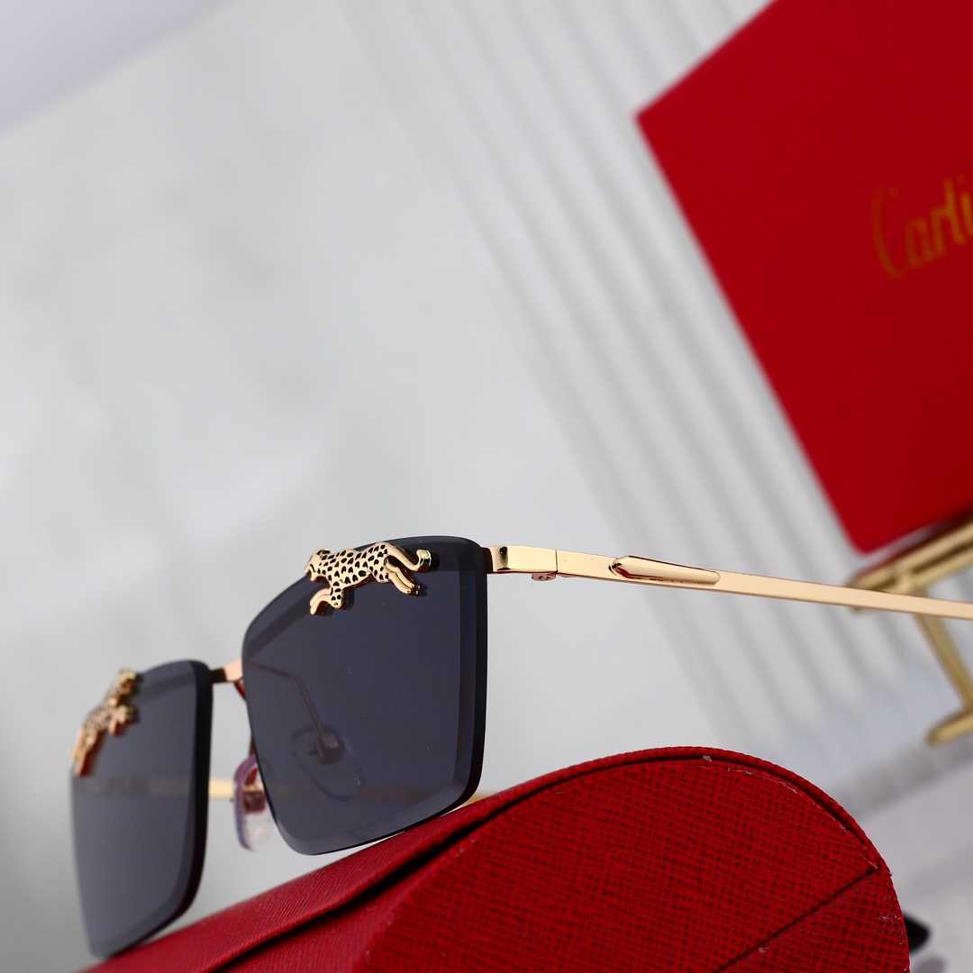 Cartier Basic Glasses