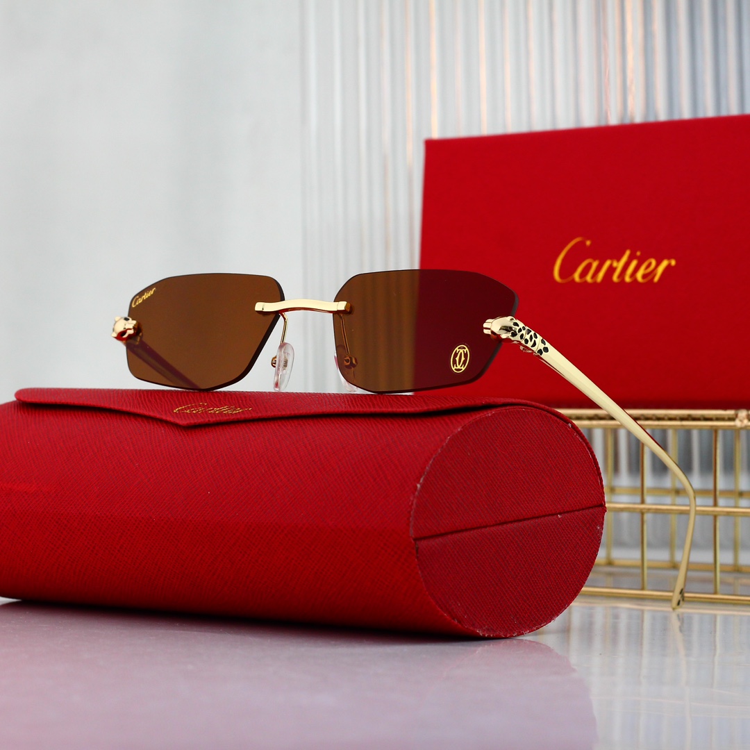 Cartier Basic Glasses