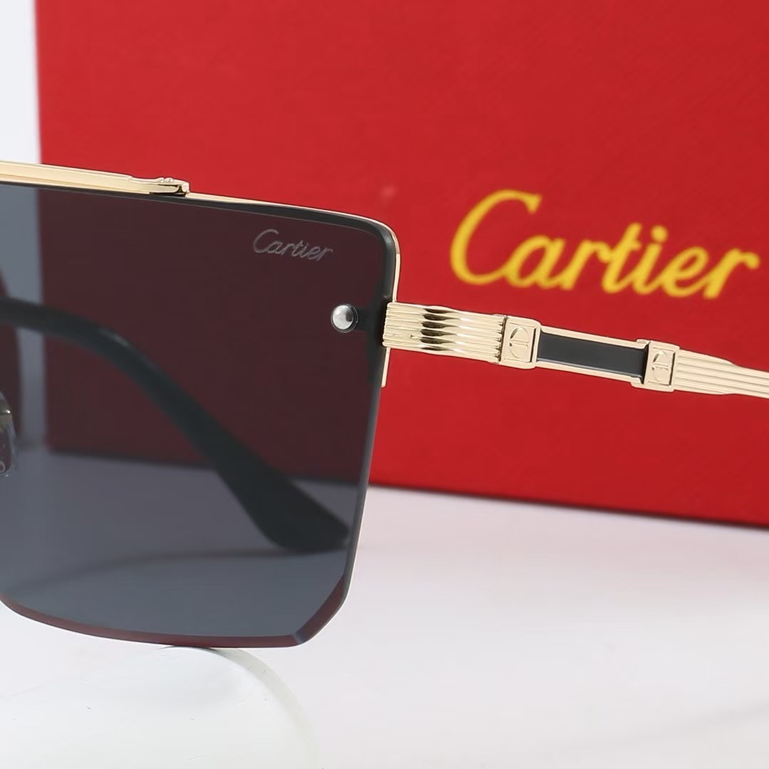 Cartier Basic Glasses