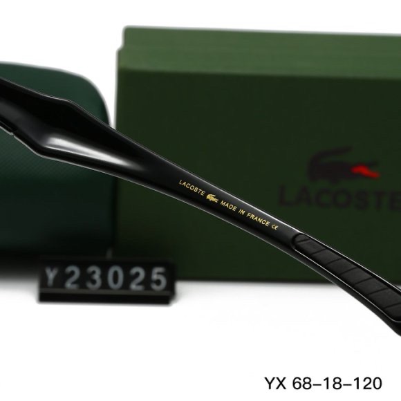 Polarized Glasses