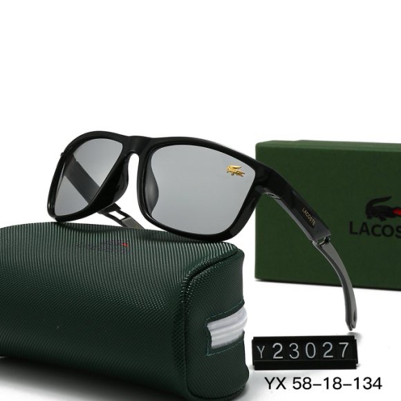 Polarized Glasses