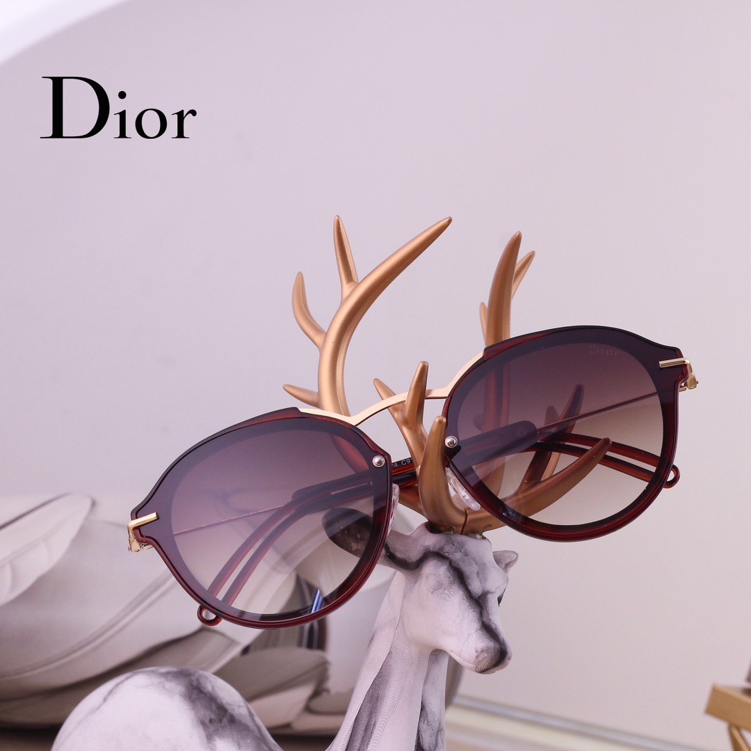 Dior Basic Glasses