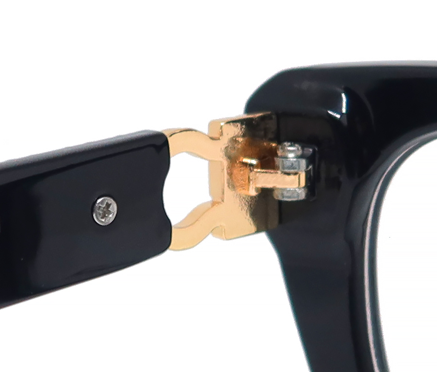 Salvatore Ferragamo Female Basic Glasses M